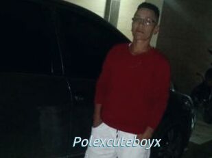 Polexcuteboyx