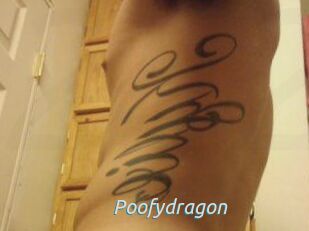 Poofydragon