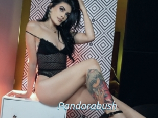 Pandorabush