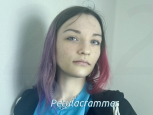 Petulacrammer