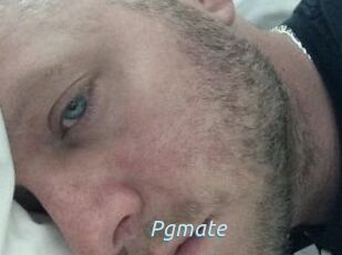 Pgmate