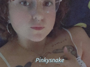 Pinkysnake
