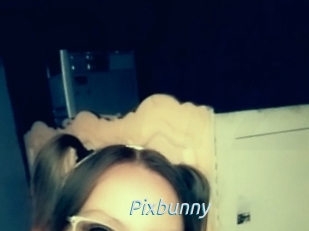 Pixbunny