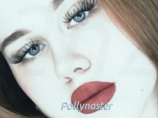 Pollynaster