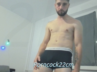 Porncock22cm