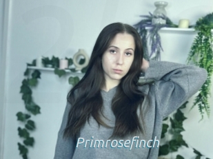 Primrosefinch