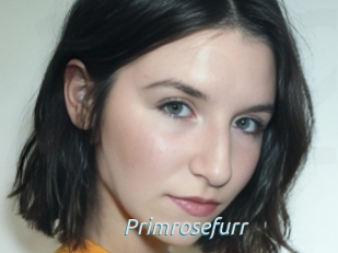Primrosefurr