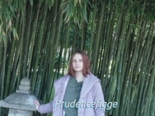 Prudencefigge