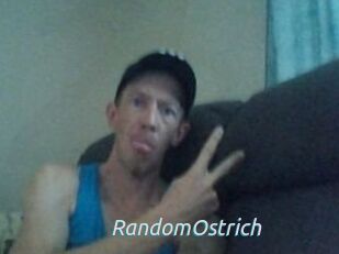 RandomOstrich