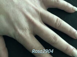 Rosa2904