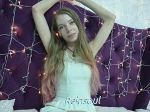 Reinsoul
