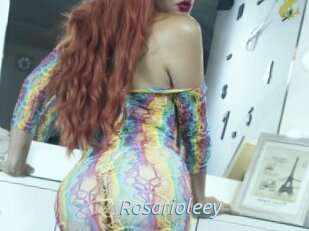 Rosarioleey