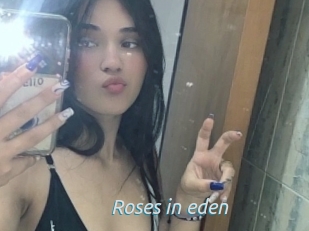 Roses_in_eden