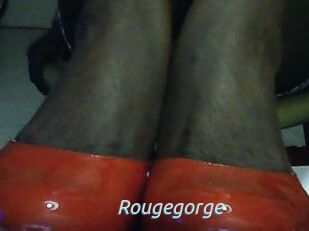 Rougegorge