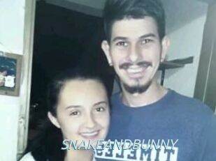 SNAKEANDBUNNY