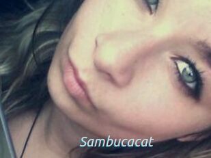 Sambucacat