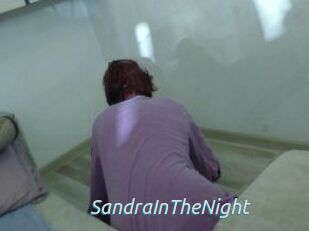 SandraInTheNight