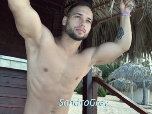SandroGrey 2 hot 2 cam