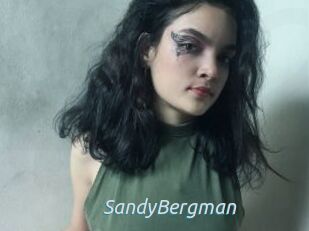 SandyBergman