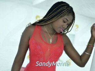 SandyMorris