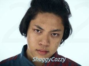 ShaggyCozzy