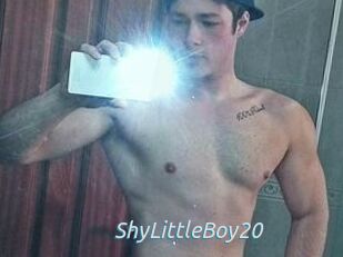 ShyLittleBoy20