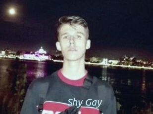 Shy_Gay