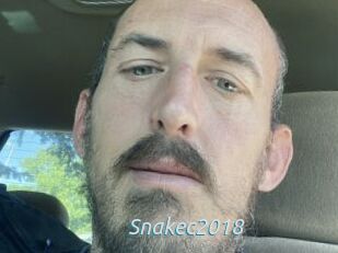 Snakec2018
