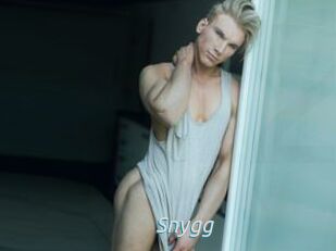 Snygg