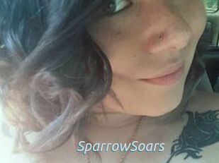 SparrowSoars