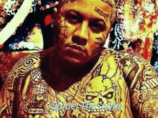 SpiderTheSnake