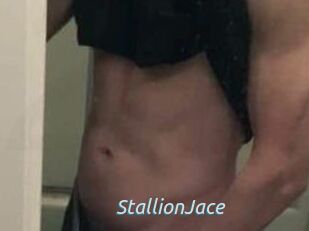 StallionJace