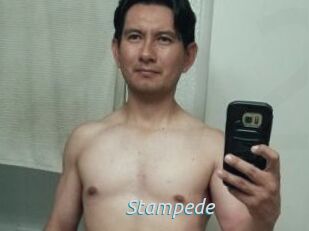 Stampede