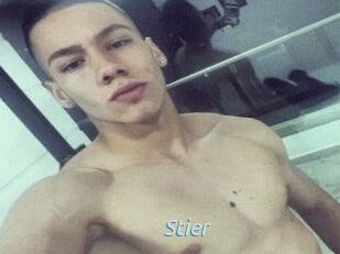Stier