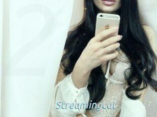 Streamingcat