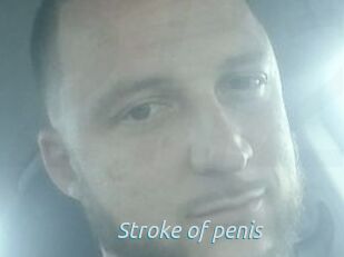 Stroke_of_penis
