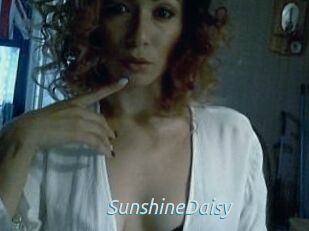 SunshineDaisy