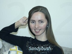 Sandybush