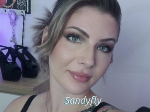 Sandyfly