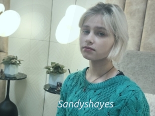 Sandyshayes