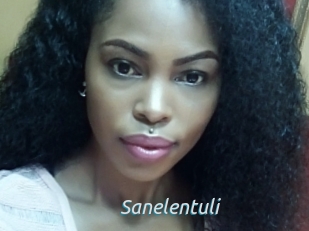 Sanelentuli