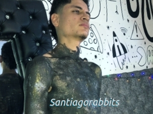 Santiagorabbits