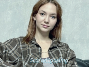 Scarlettgosling