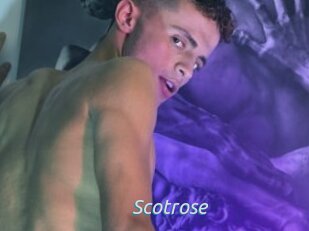 Scotrose
