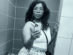 Sebina