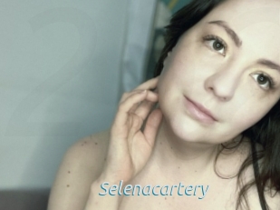 Selenacartery