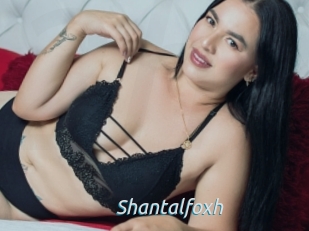 Shantalfoxh