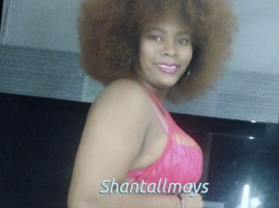 Shantallmays