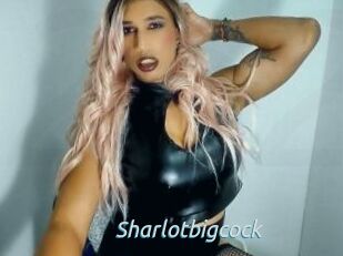 Sharlotbigcock