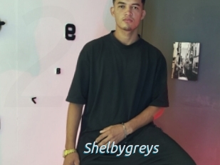 Shelbygreys
